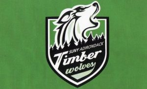 timberwolvemascot